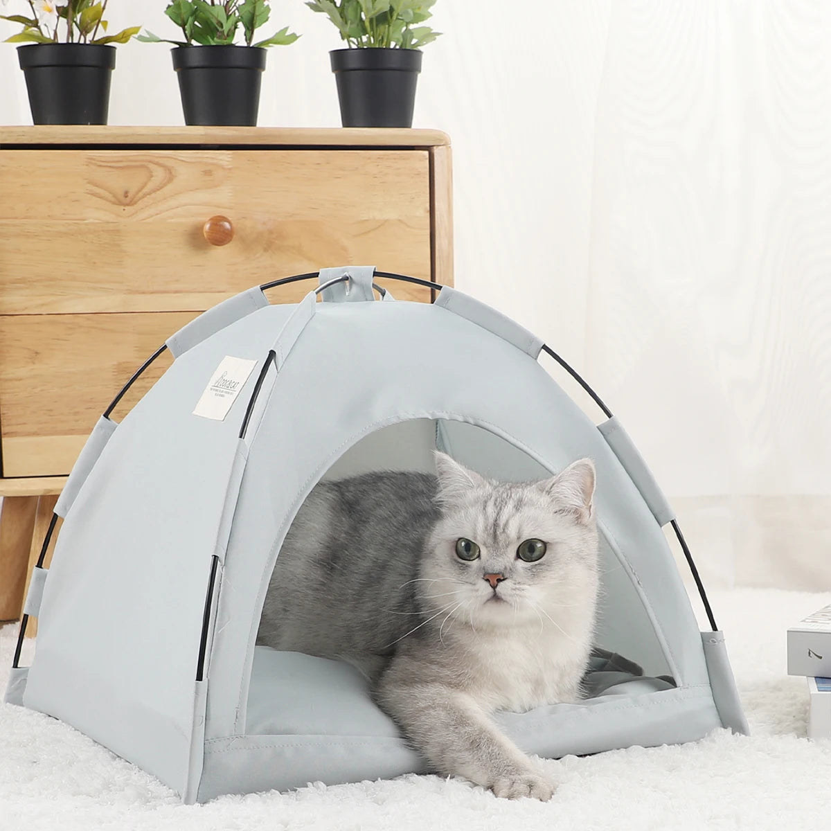 Cozy Retreat Tent for Your Kitty